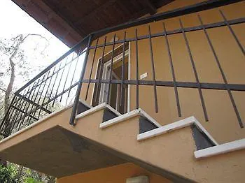 Olivo *