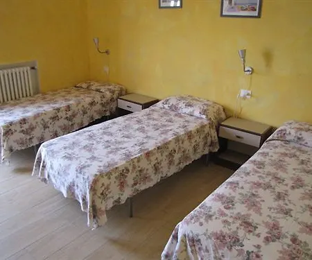 Olivo * Campo