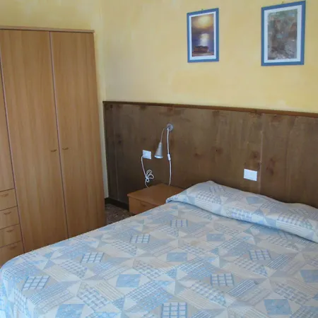 Olivo Campo