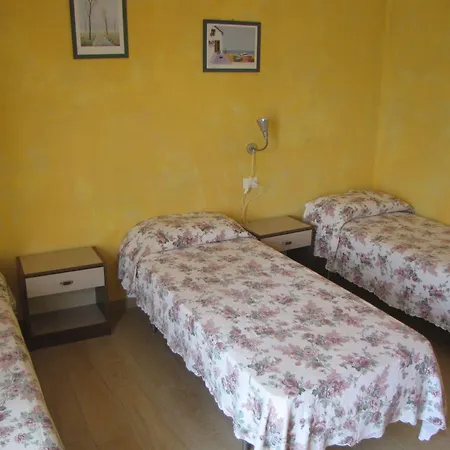 Olivo Campo