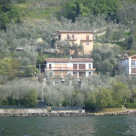 Hotel Olivo Campo